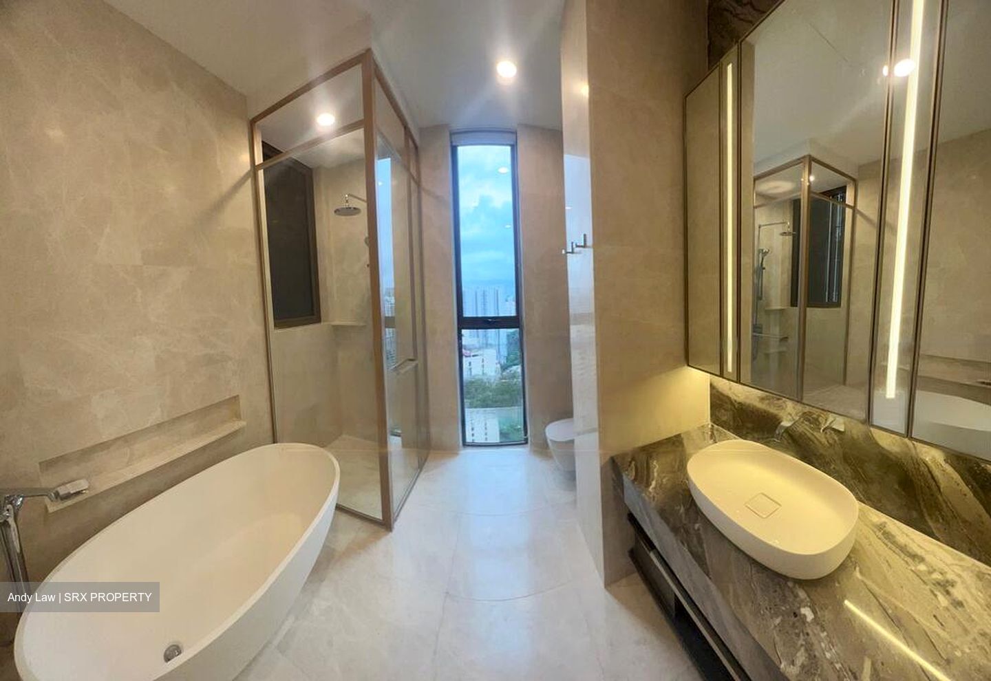The Avenir (D9), Condominium #456090711